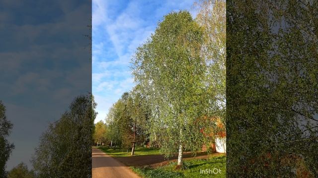 Прекрасный май!.mp4 смотреть онлайн