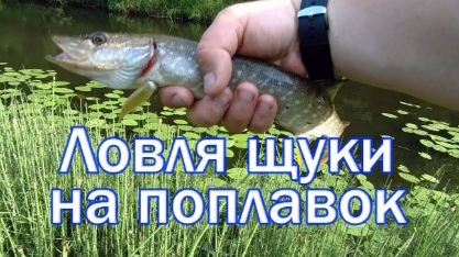 Как ловить щуку.Попловочная снасть на щуку своими руками смотреть онлайн