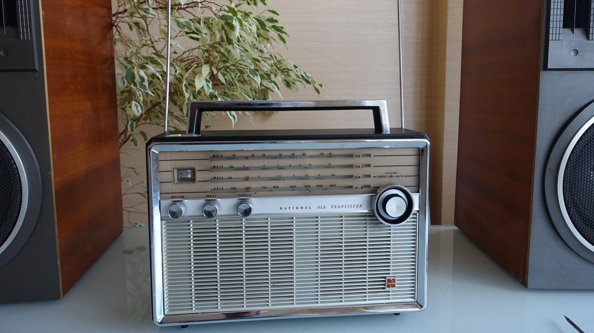 National Panasonic T-100