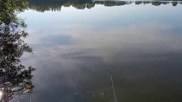 Рыбалка на небольшом Озере рядом с гнездом Андатры. смотреть онлайн