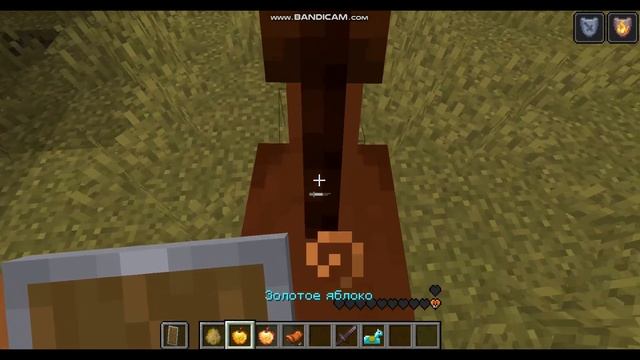 КАК ПРИРУЧИТЬ ЛОШАДЬ В МАЙНКРАФТЕ смотреть онлайн