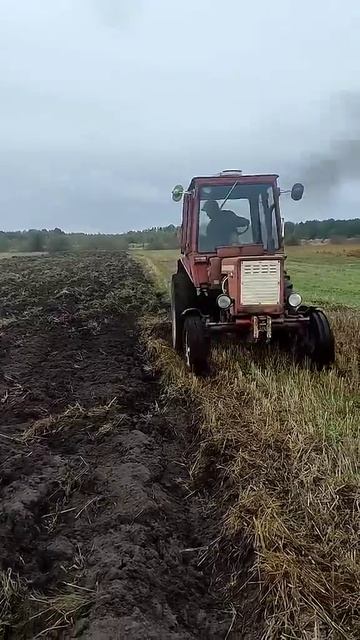 Оранка поля плуг бомет розмір 2-25! Трактор Т-25 Владимир? смотреть онлайн