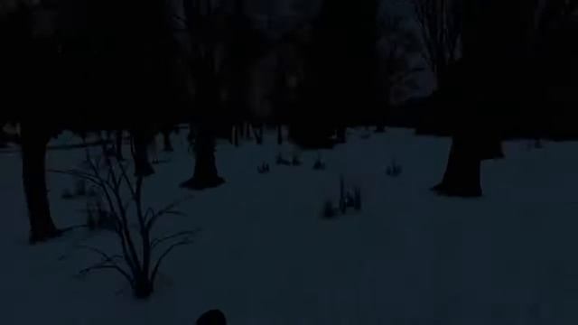 DayZ STALKER RP Сервер SHADOWS OF OBLIVION КАК ТО НОЧЬЮ смотреть онлайн