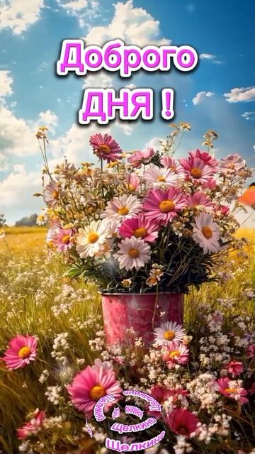 Добрый день.Доброе утро. Добрый вечер. ВидеоОткрытки смотреть онлайн