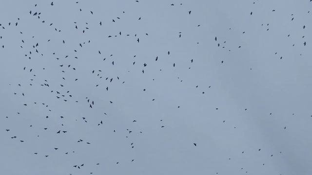 Единственное для чего можно снимать в 4k