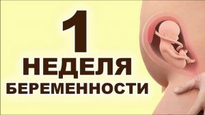 Что происходит с мамой и ребёнком на 1 неделе беременности? 1 месяц беременности. Первый триместр.