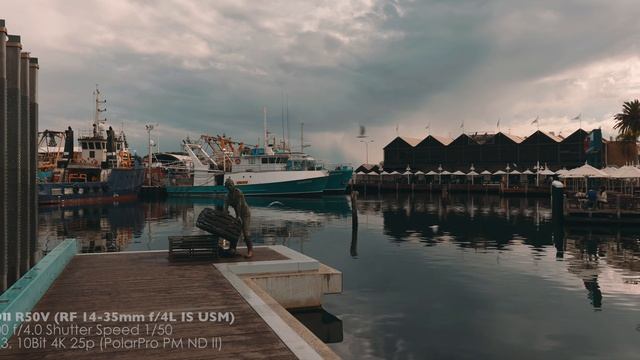 Тест Canon R50V с объективами RF14-35 F4L IS, RF70-200 2.8L IS, CN-E 35 T1.5 смотреть онлайн