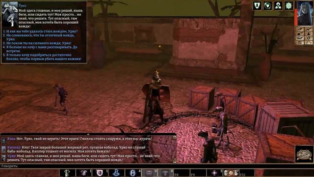 Neverwinter Nights: Shadows Of Undrentide или как прошутить потенциал
