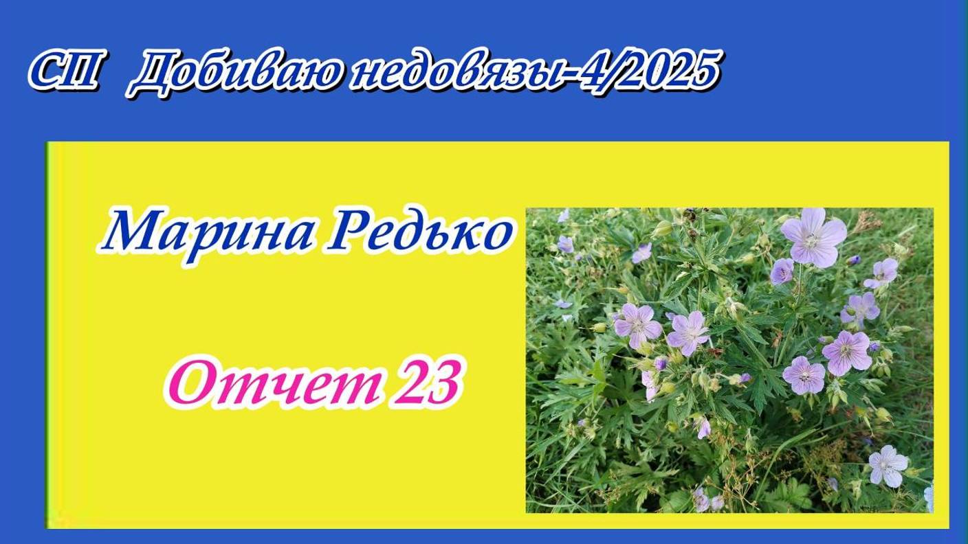 СП "Добиваю недовязы 4/2025" с Мариной Стоговой / Отчет 23 смотреть онлайн