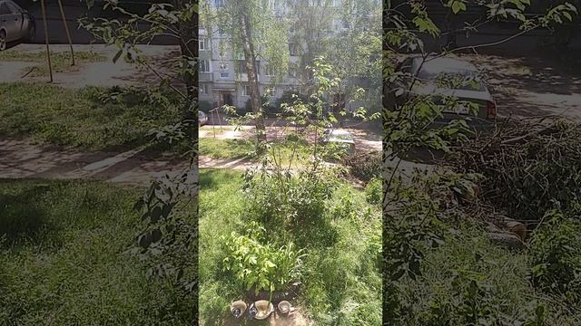 ТЕПЕРЬ ПУСТО КРУГОМ смотреть онлайн