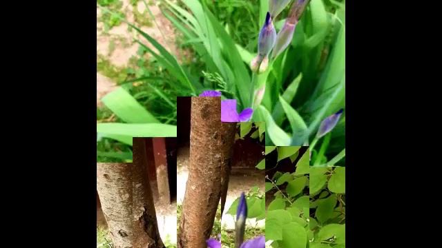 Май просто очаровательный месяц🌷💜.mp4 смотреть онлайн