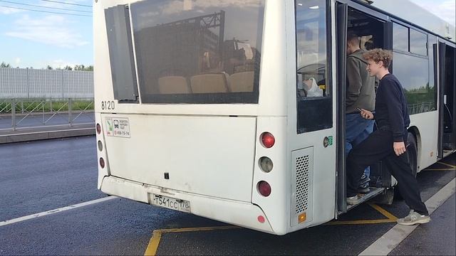 31 мая 2025 г. Автобус 328 маршрут МАЗ-203 8120 Колпино Октябрьская Улица смотреть онлайн