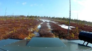 Вездеход Медведь про болото
