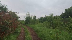Погода поменялась быстро.