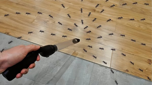 Муравьи сломали формикарий и разбежались! Ловлю их пылесосом!