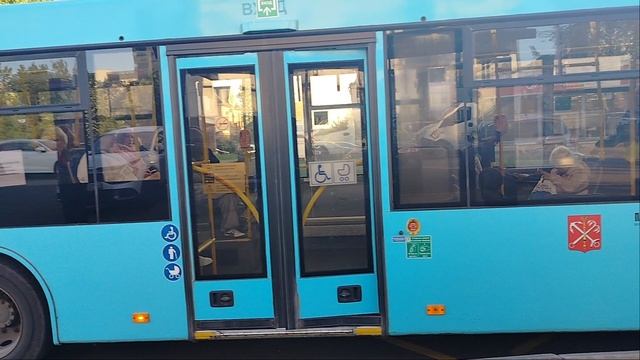 1 июня 2025 г. Автобус 328 маршрут МАЗ-203 8568 Колпино Улица Анисимова Дом 4 смотреть онлайн