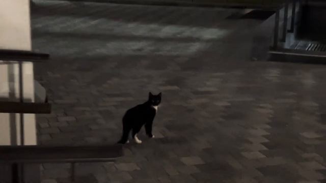 МИНСК ВЛОГ//Куда сходить в Минске, достопримечательно?