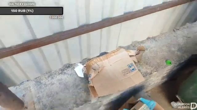 находки на помойках Санкт-Петербурга  нарезка со стри?