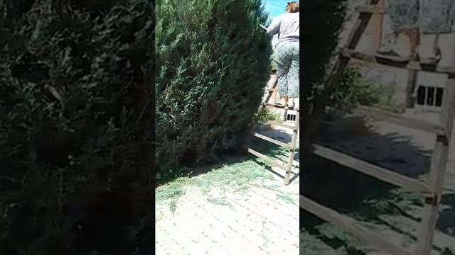 Janker Аккумуляторный кусторез беспроводной 2600 мАч легкий профессиональный инструмент смотреть онлайн