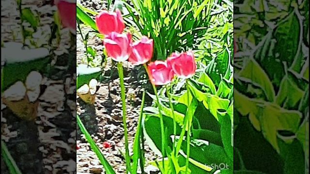 Осень, весна и лето.mp4 смотреть онлайн