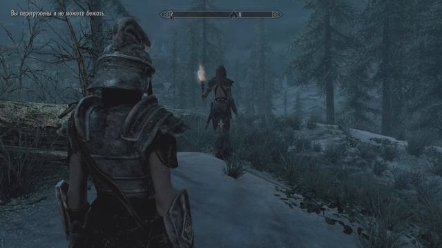 Skyrim Платина PS5