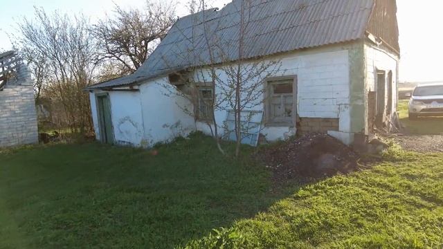 После снега и мороза/идём смотреть огород/💐🌹🐝