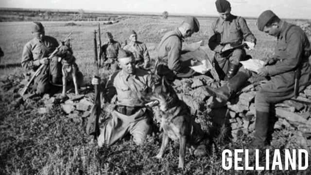 Gelliand - Память поколений