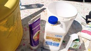 Подкормка лука Эксибишен после высадки в грунт.Подкормка клубники во время цветения