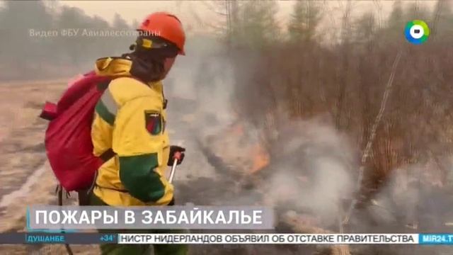 ТК МИР_Природные пожары в Забайкальском крае смотреть онлайн