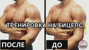 Тренировка на бицепс 6 упражнений.