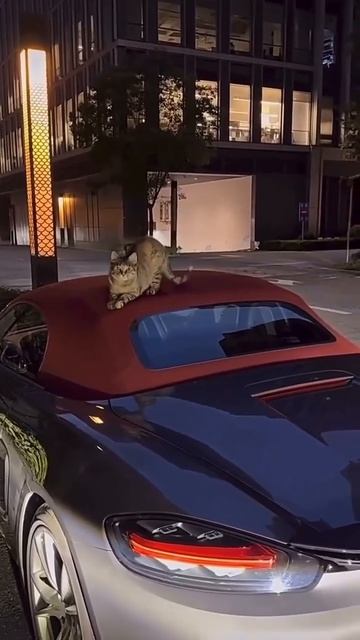 Богато точить не запретишь смотреть онлайн