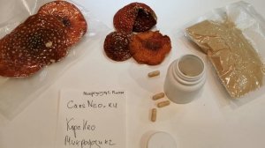 КАК ВЫБРАТЬ и КУПИТЬ МУХОМОРЫ для МИКРОДОЗИНГА? подро?