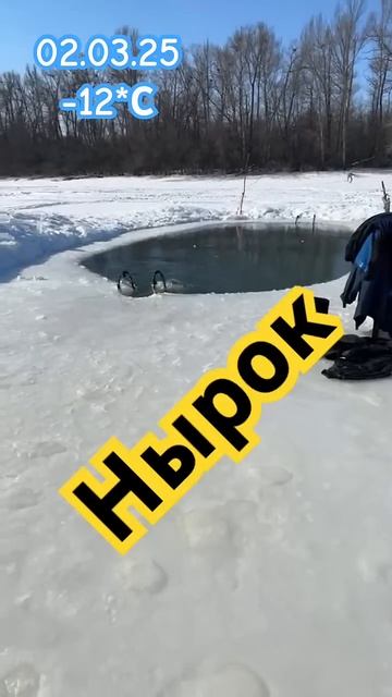 Сколько раз он занырнул?Думаю 4ре но это не точно.#shorts смотреть онлайн