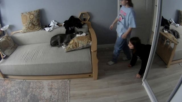 я стала кошкой?!/ Сашик - абрикос