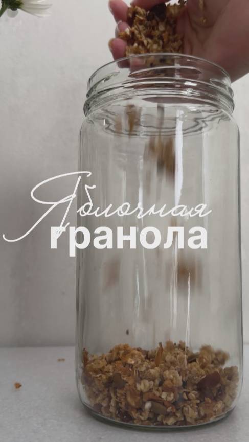 Яблочная гранола #shorts