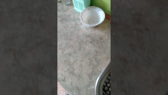 Варю необычную овсянку. Интуитивное питание.  Делюсь с