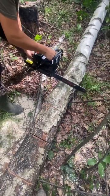 #shortvideo #sthil #sthilms180 #днепр #бензопилы смотреть онлайн