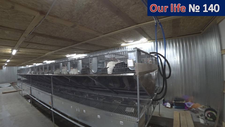 У нас переезд. Мега крольчатник в работе.