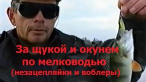 Константин Кузьмин. За щукой и окунем по мелководью (незацепляйки и воблеры),  1999 год