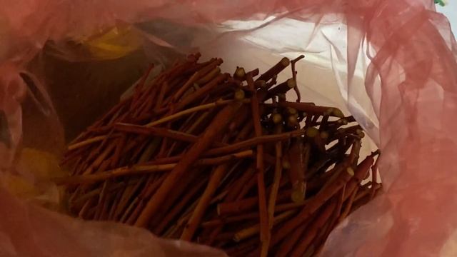 Сбор полива на голубике, а так же первые весенние обра?