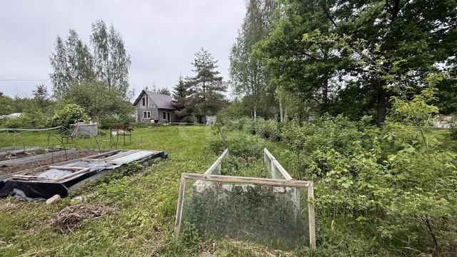 Глажевское сельское поселение, садоводческое некоммерческое товарищество Оснички, 9-я лесная улица смотреть онлайн