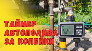 Контроллер автоматического полива с AliExpress — настройка, установка и реальный тест автополива