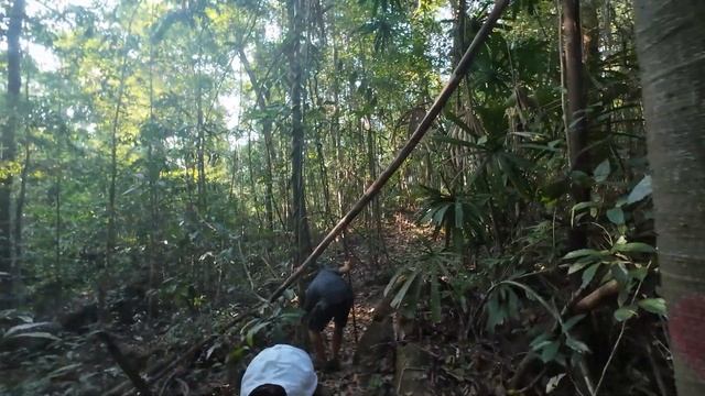 Национальный парк Фукуок на острове Фукуок во Вьетнам