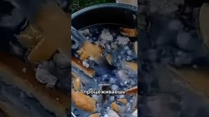Подкормка с хлебом и йодом — секрет успеха! #дача #огор