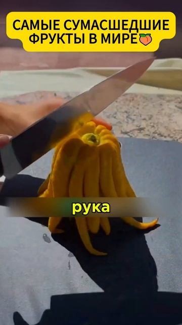Самый сумасшедшие фрукты в мире! смотреть онлайн