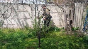 Мотокоса хольцформа 250 чем не Штиль