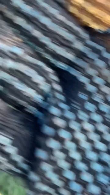 Нашел чешую на выбитом месте!% #коп #находка #металлоис? смотреть онлайн