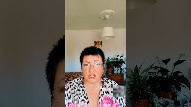 9 сентября 2024 г.