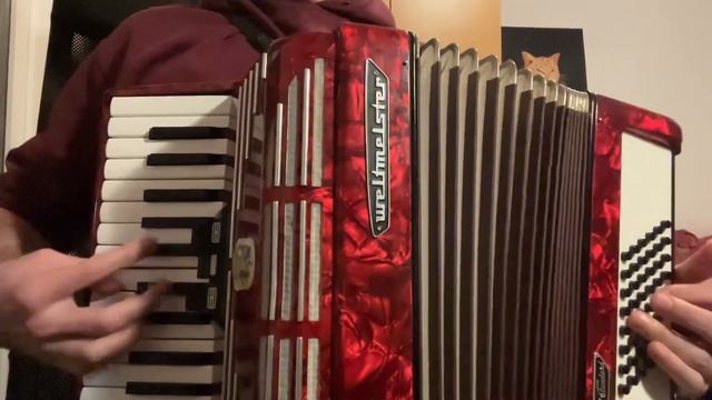 Ukrainian Cossack song "Гей була в мене коняка" ("Hey, I had a horse") accordion смотреть онлайн