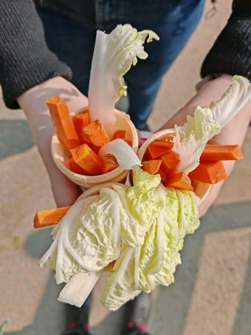 Кормим животных #антистресс #козетерапия #коза #козы #мимими #природа #топыкатегорий